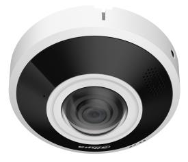 [O203IPC-E534] NET CAMERA 6MP FISHEYE DOME/IPC-EBW5641-AS DAHUA